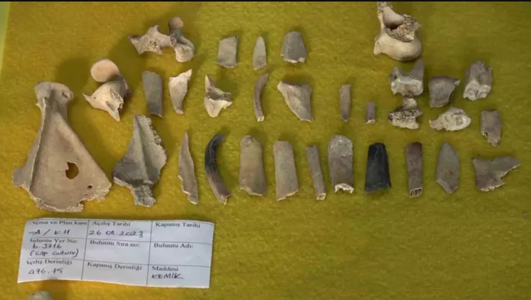 Археологи в Туреччині знайшли горщик із 2500-річною стравою стародавніх персів (фото)